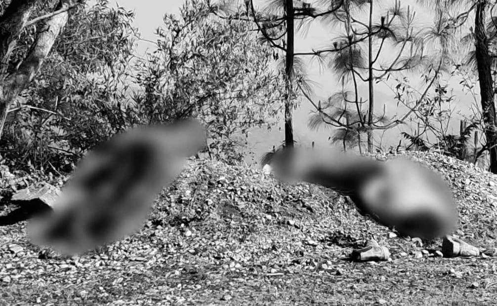Asesinan a tres integrantes de una familia en Oaxaca; rescatan ileso a un menor.
Foto: Especial.