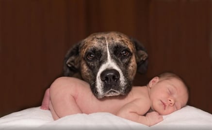 Los niños con mascotas tienen menos riesgo de alergias y obesidad