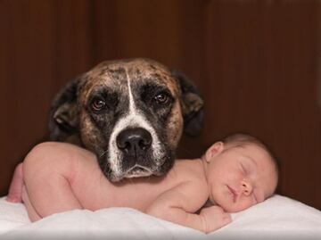 Los niños con mascotas tienen menos riesgo de alergias y obesidad