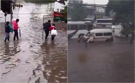 Difunden videos de Indios Verdes bajo el agua