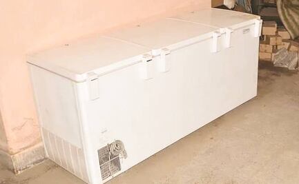 Hallan cuerpos de niños al interior de un congelador en Boston