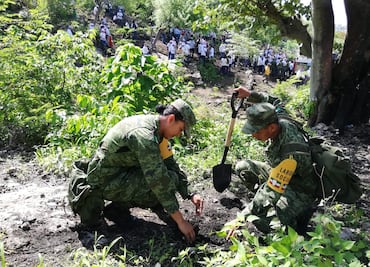 Reforestan 8.5 hectáreas desalojadas del Cañón del Sumidero