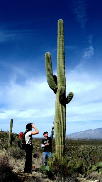 Así es El Pinacate, el paisaje del nuevo billete de 200 pesos