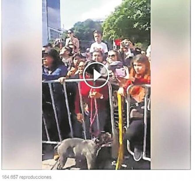 '#LordAnaya' Los avatares del 'Niño Azul'