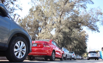 Pandemia por Covid disminuyó en 20% el robo de autos en 2020