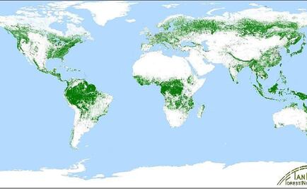 Mapean los bosques del mundo cómo nunca antes
