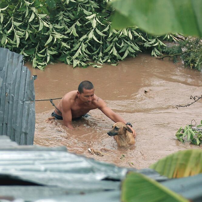 Un hombre rescata a un perro que quedó atrapado, tras la inundación por el desbordamiento del río Choluteca en Tegucigalpa, Honduras. (RAFAEL OCHOA. XINHUA)