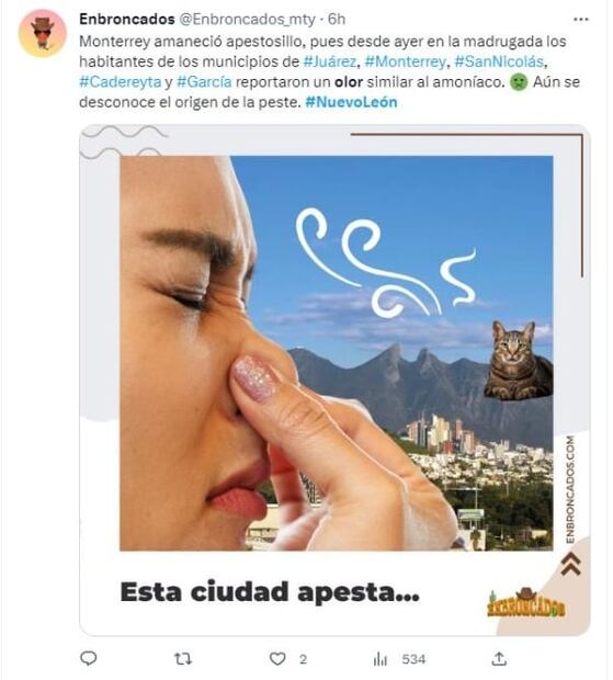 Mal olor en Nuevo León desata memes contra gatos, pero ¿qué lo provocó?