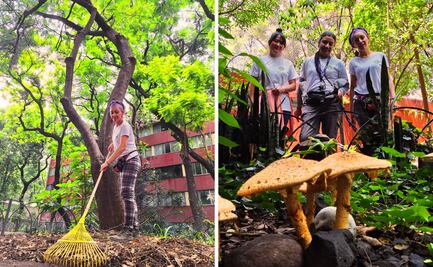 “Dale de Comer al Árbol”, iniciativa de activistas ambientales que reverdece Tlatelolco
