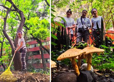 “Dale de Comer al Árbol”, iniciativa de activistas ambientales que reverdece Tlatelolco