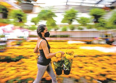 Covid y cierre de panteones "marchitan" venta de flores
