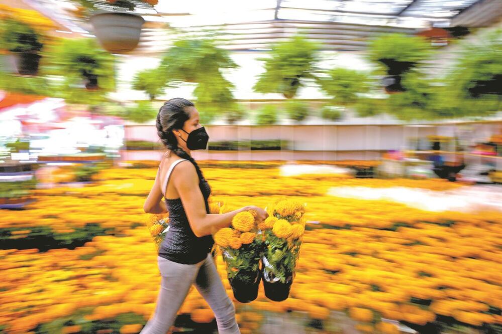 La pandemia ha bajado la venta de cempasúchil hasta 60% en la Central de Abasto, donde hay contagios y muertos entre los comerciantes. DIEGO SIMÓN SÁNCHEZ. EL UNIVERSAL