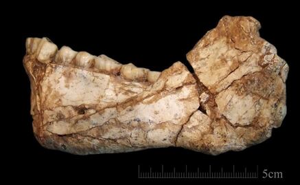 El Homo sapiens vivió mucho antes de lo que se pensaba