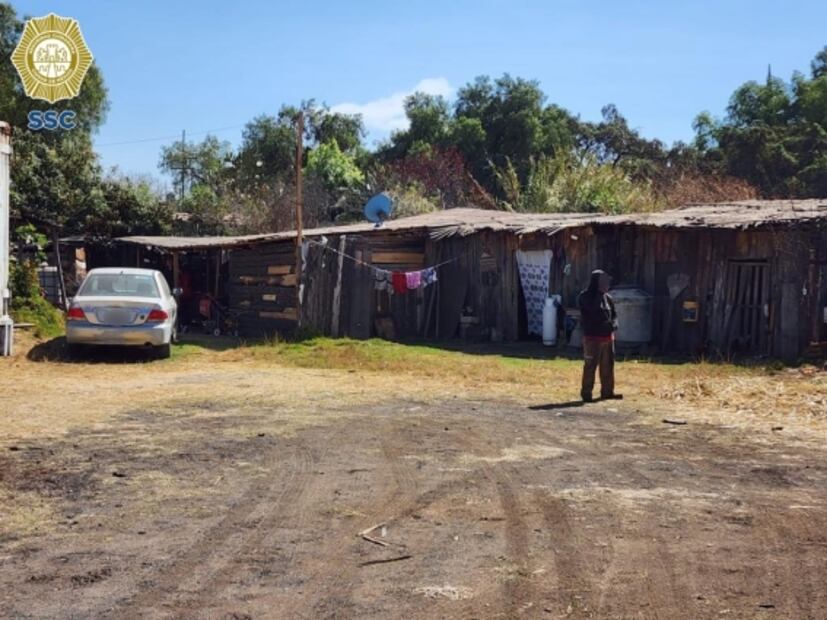 Clausuran bodega clandestina de madera en Tláhuac durante operativo contra tala ilegal y aserraderos