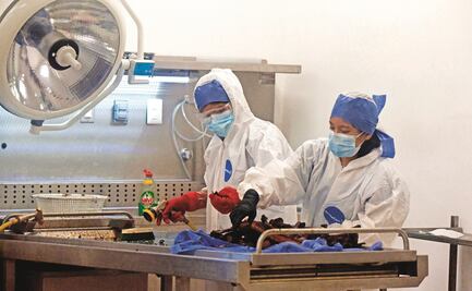 Europarlamento pone a México en los más violentos