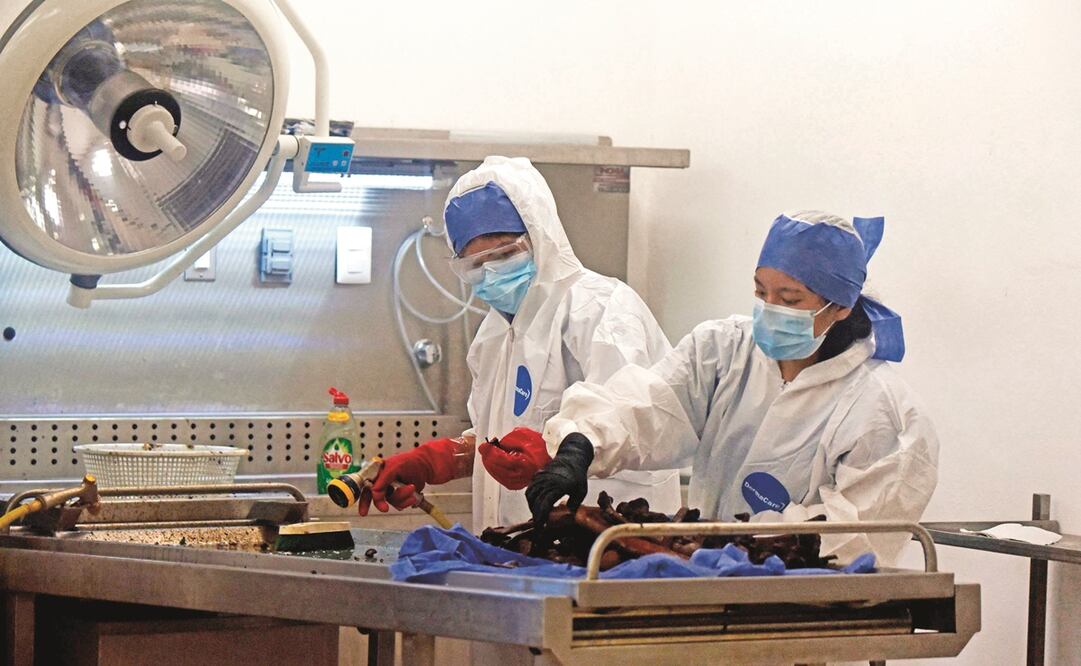 El dossier sobre México muestra un ajuste en el número de desaparecidos como resultado de actividades de delincuencia organizada a gran escala.Foto: Claudio Cruz/ AFP