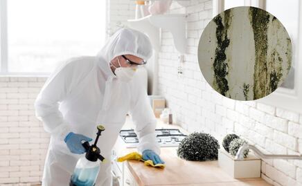 Aprende el truco de arquitectos para eliminar el moho de las paredes con un ingrediente de cocina