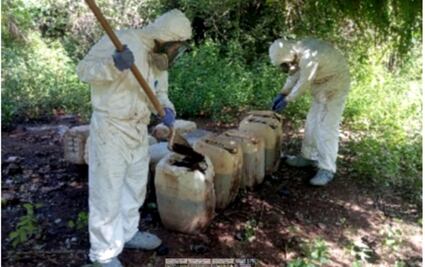 Aseguran en Sinaloa sitios de almacenamiento de precursores químicos, tres laboratorios y desmantelan campamento de grupos delictivos