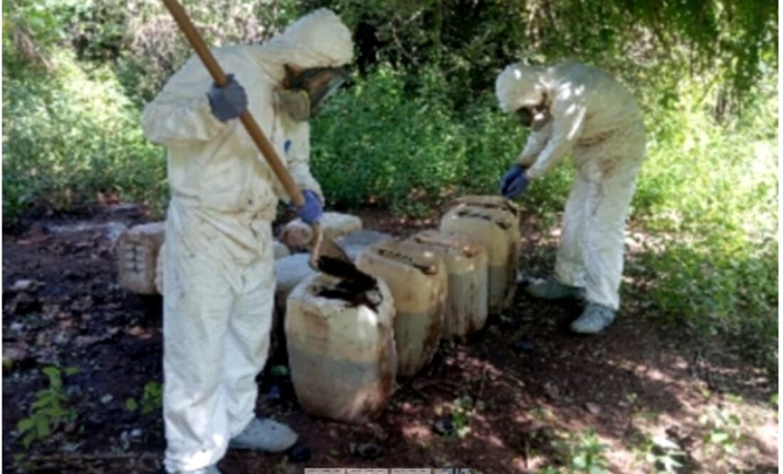 Las fuerzas federales y estatales localizaron un campamento improvisado de grupos delictivos, armas de fuego y se localizaron catorce áreas de almacenamiento de precursores químicos. Foto: especial