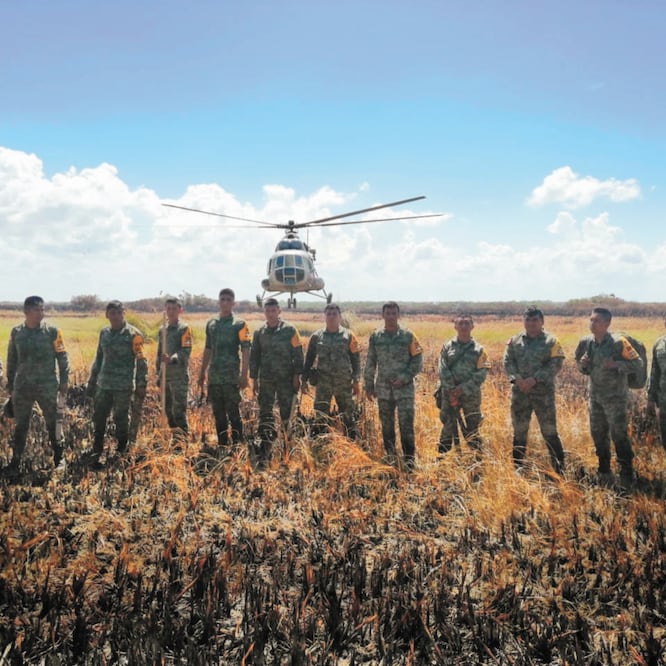En los trabajos para erradicar los incendios en Sian Ka’an se cuenta con el apoyo de un helicóptero de la Sedena y 26 elementos. Además hay 168 combatientes de la Conafor, ocho guardaparques de la Conanp y 13 elementos de la dirección de Protección Civil 