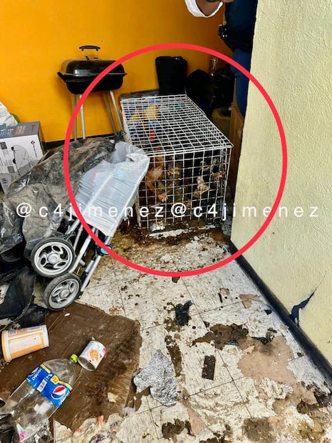 Foto: Tomada de @c4jimenez/El Universal