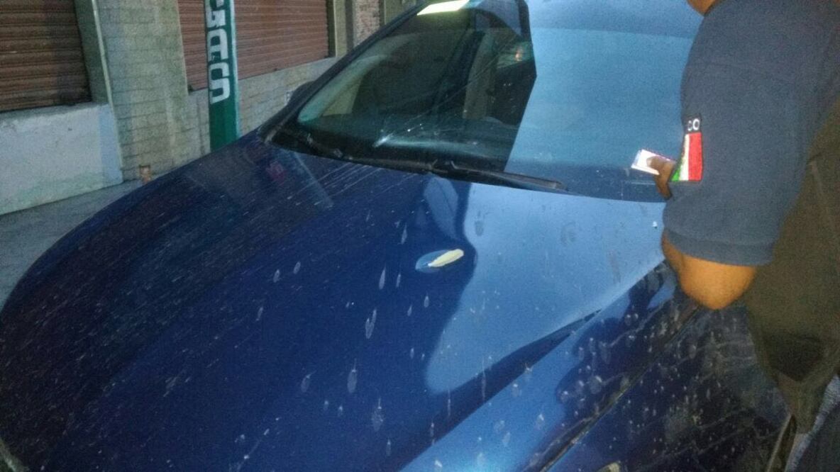 Foto: Cortesía Diario Presencia