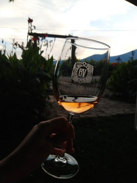 En Coahuila hay buen vino, conoce estas 4 bodegas