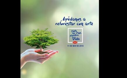 Subastarán pinturas para reforestación