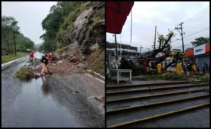 Tormenta “Narda” deja derrumbes y caída de árboles en Guerrero