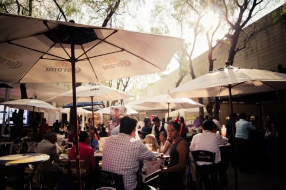 Festival dedicado a lo mejor del vino llega a San Luis Potosí 