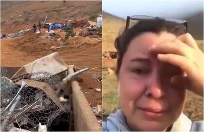 Empresa aplasta con máquinas albergue con animales vivos adentro en BC; “qué suciedad de sociedad”, Arturo Islas 