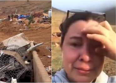 Empresa aplasta con máquinas albergue con animales vivos adentro en BC; “qué suciedad de sociedad”, Arturo Islas