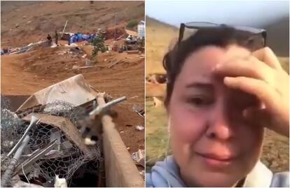 Empresa aplasta con máquinas albergue con animales vivos adentro en BC; “qué suciedad de sociedad”, Arturo Islas 