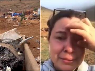 Empresa aplasta con máquinas albergue con animales vivos adentro en BC; “qué suciedad de sociedad”, Arturo Islas