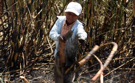 CNDH solicita protección a niños jornaleros rescatados