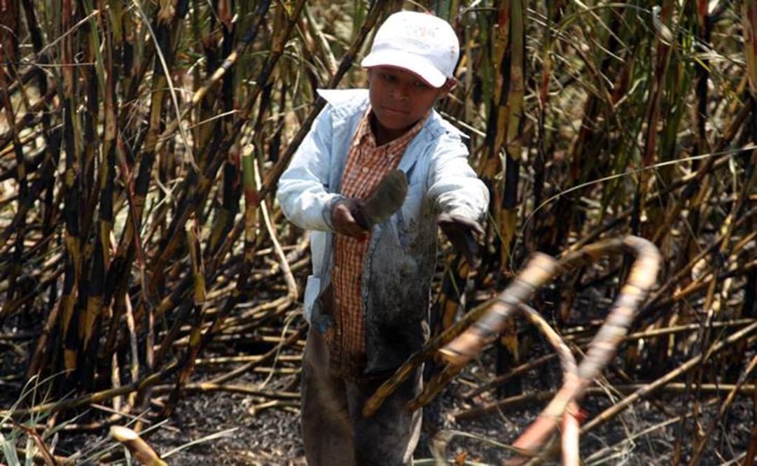 (Foto: Archivo/El Universal)