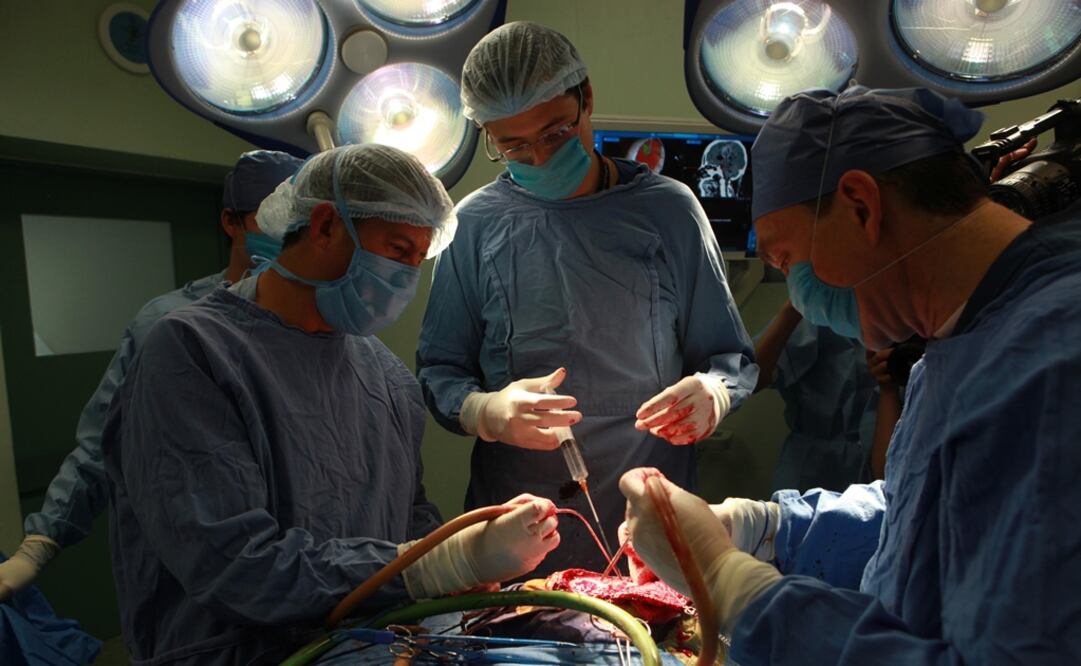 Japón aprobó el uso de células madre en una operación de corazón. Foto: Archivo EL UNIVERSAL