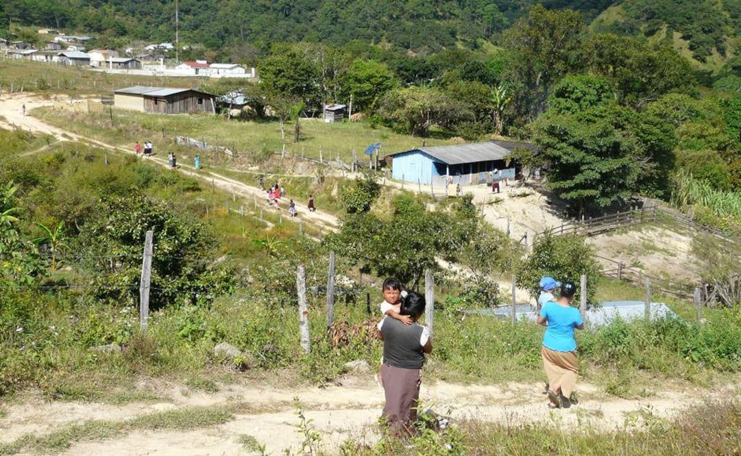 Foto: Archivo EL UNIVERSAL