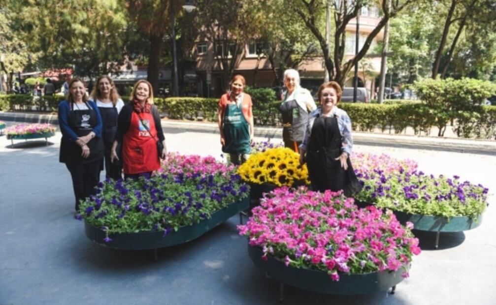 9 cosas que hacer y ver en el FYJA en CDMX