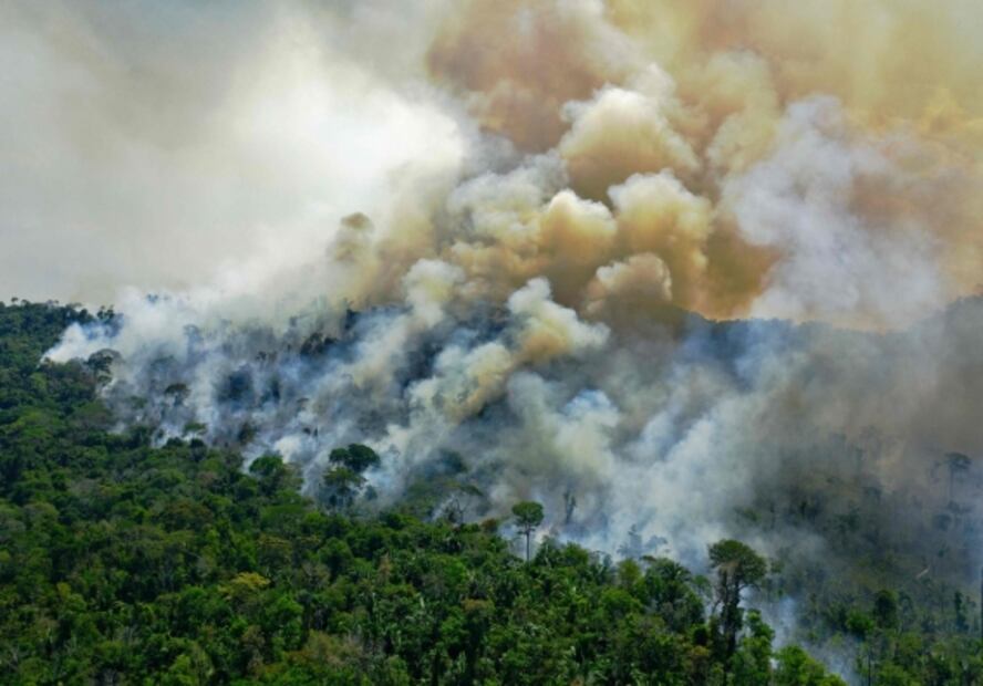 Incendios forestales en 2020 pueden superar récords de 2019: WWF