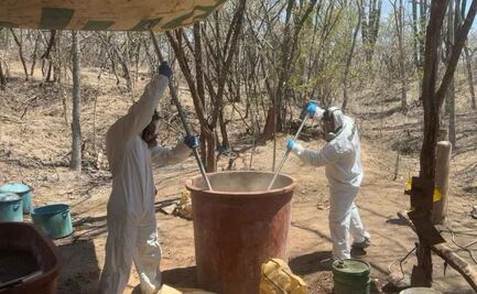 Marina desmantela laboratorio clandestino en Sinaloa, presuntamente de “La Chapiza”; destruye 600 kg de metanfetamina