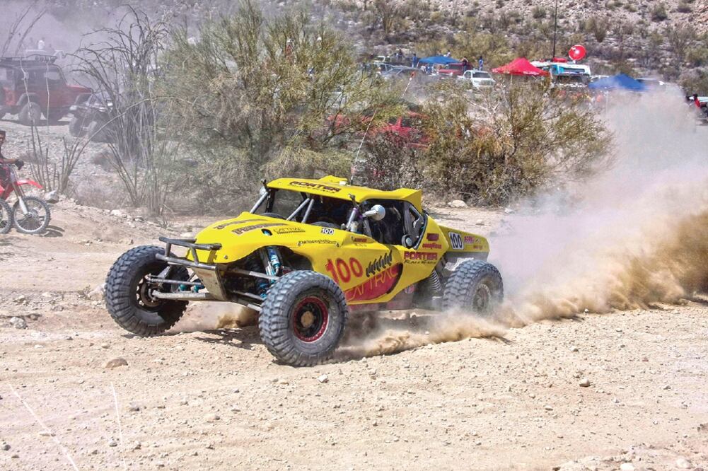 El Valle de los Cirios es el área natural protegida más grande del país y es el hábitat de la tortuga del desierto, además de la ruta de aves migratorias. (CORTESÍA. EDGAR LÍMA)