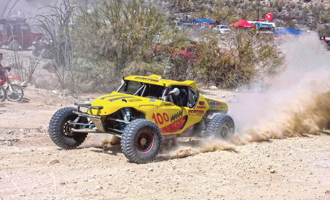El Valle de los Cirios es el área natural protegida más grande del país y es el hábitat de la tortuga del desierto, además de la ruta de aves migratorias. (CORTESÍA. EDGAR LÍMA)