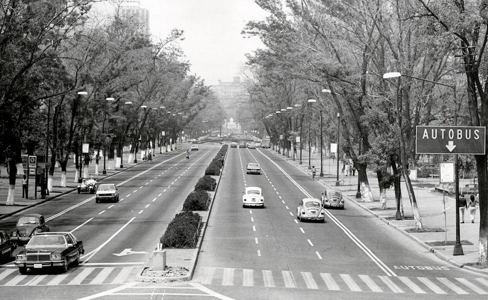 Los camellones de Reforma ya habían sido hogar de algunas plantas, pero sólo eran arbustos y no flores de temporada, como el cempasúchil de noviembre y las nochebuenas de diciembre. Archivo EL UNIVERSAL.