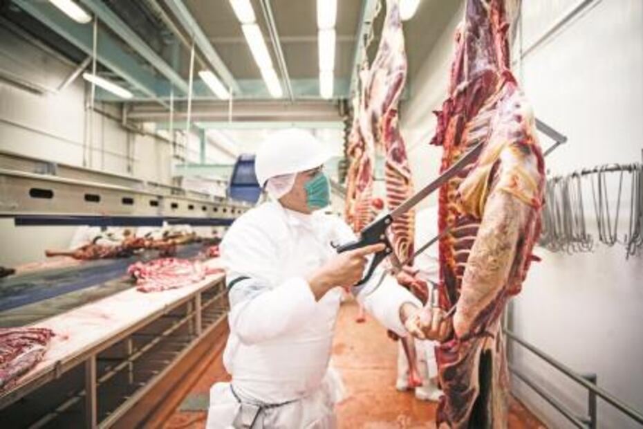 Carne de caballo mexicana, platillo gourmet de exportación
