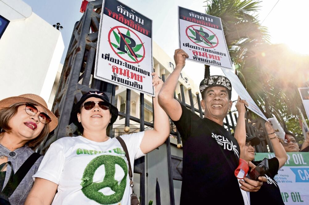 A favor. Activistas tailandeses se manifiestaron el 20 de noviembre en favor de la marihuana medicinal. (PANUMAS SANGUANWONG. REUTERS)