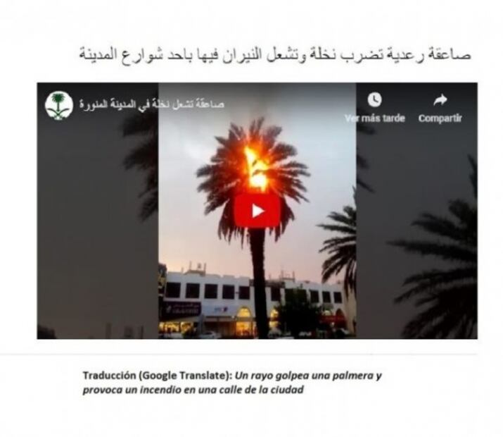 ¿Altas temperaturas provocaron incendios en arbustos de Dubái y Kuwait?