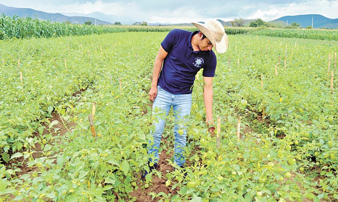 Foto: Archivo/EL UNIVERSAL