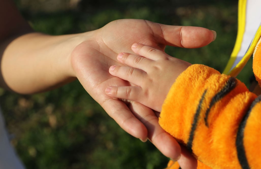 Imagen ilustrativa. FOTO: Archivo EL UNIVERSAL