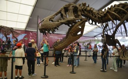 Dinosaurios fluorescentes, tirolesa y mega inflables; estas son todas las actividades que hay en el Zocalito de las infancias